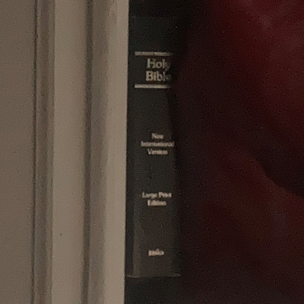Red Holy Bible with Black Spine